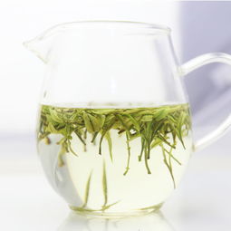 白茶怎么泡