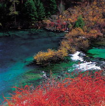 四川九寨沟旅游 九寨沟旅游要多少钱