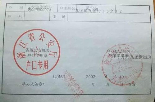 户口类型应该怎么填写