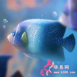 梦到很多鱼在水里游是什么意思