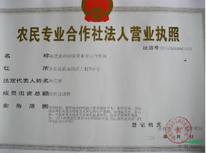 农村合作社起名，畜牧合作社起名