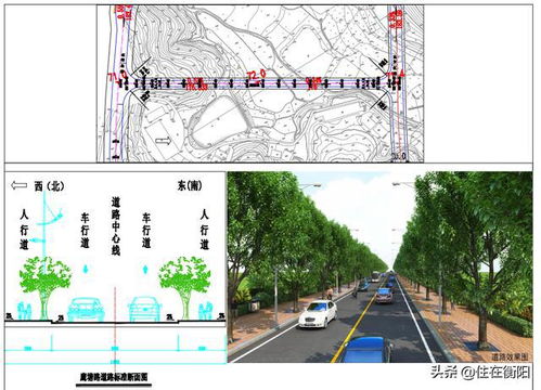 道路宽度和路幅宽度，农村道路宽度