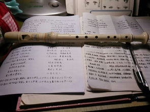 竖笛怎么吹 初学8孔，竖笛怎么吹小城夏天