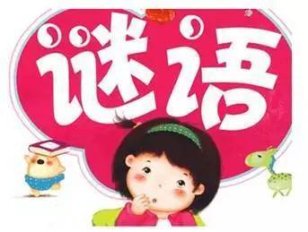 谜语大全谜底答案，谜语大全谜底美食