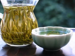 金山翠芽在评审杯冲泡几分钟