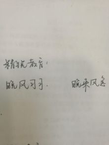 带风的词语二年级上册，带风的词语两个字