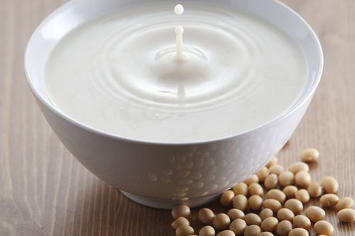 磨豆浆是啥意思 Les，为什么叫磨豆浆