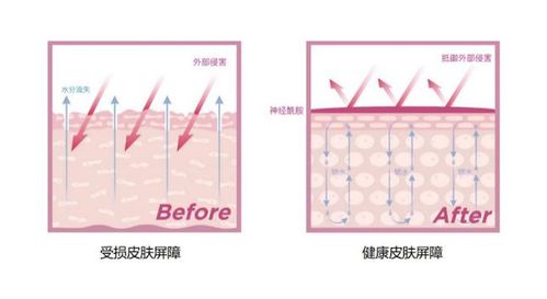 屏障的意思
