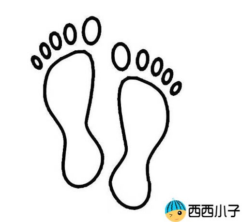 猫脚印简笔画，大象脚印简笔画