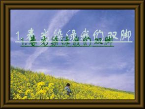 春光染绿我们双脚阅读答案，春光染绿我们双脚苏教版