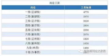 事业单位的是怎么分级别的?