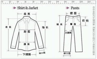 卫衣衣长是从哪里开始量的，衬衫衣长是从哪里开始量的