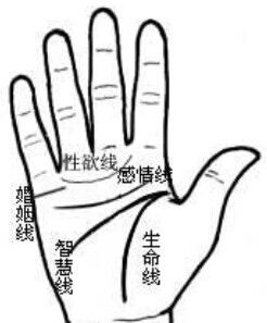 看手相,感情线上是岛纹还是锁链纹?