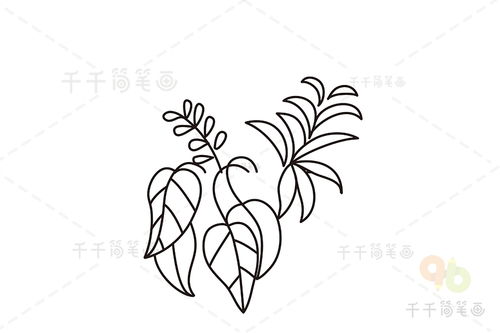 简笔画植物佛珠吊兰