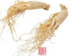 人参有什么功效 原来它有这么多好处