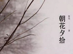 朝花夕拾无常朗读