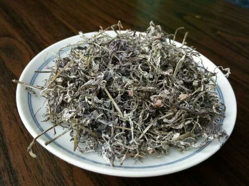 藤茶是什么茶 藤茶的简述