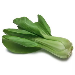 大青菜百度百科，大青菜的种植方法