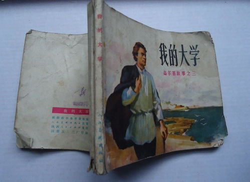 我的大学高尔基主要内容