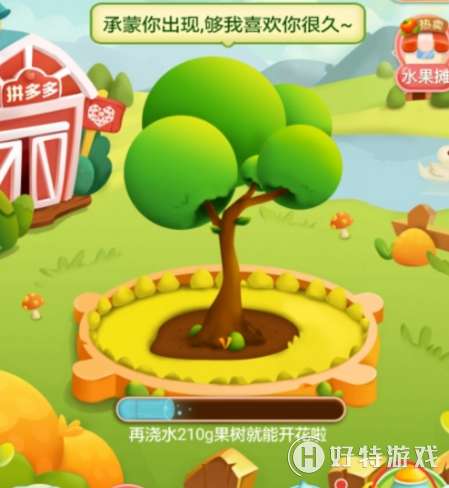 拼多多果园怎么种水果树 拼多多种植果树的方法