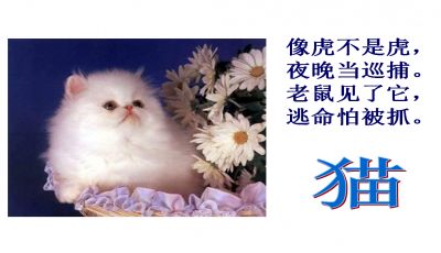 课文猫中第三只猫亡失后我却更加难过这是为什么呢，课文猫郑振铎
