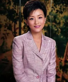 杨澜的书pdf，杨澜的书 凭海临风