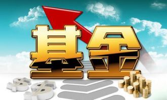 什么叫基金的累计净值，基金累计净值指什么