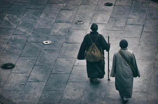 弟子不必不如师,师不必贤于弟子.这句话出自哪里