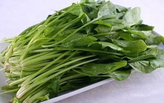 菠菜和芹菜能一块吃吗?