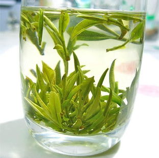 竹叶青茶叶价格及图片，竹叶青茶叶有什么功效