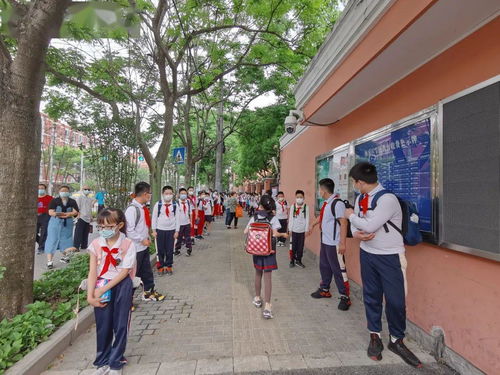 政立路小学对口范围，政立路小学排名