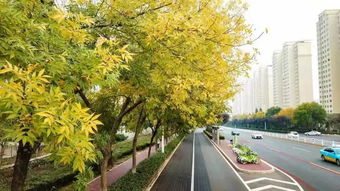 【阳光和煦】成语是什么意思