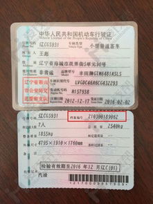 没有车架号怎么查违章，不用车架号怎么查违章