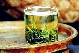 龙井茶属于什么茶类树图片，为什么叫龙井茶