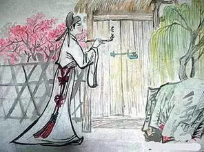 崔护简介50字，孟郊简介