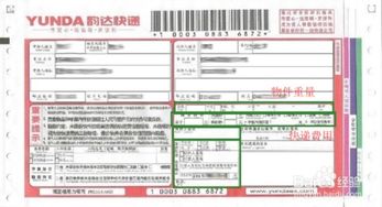 韵达快递怎么查货号