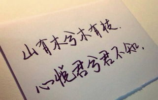 相见恨晚下一句怎么接