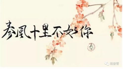 “春风十里不如你”什么意思,怎么解释?