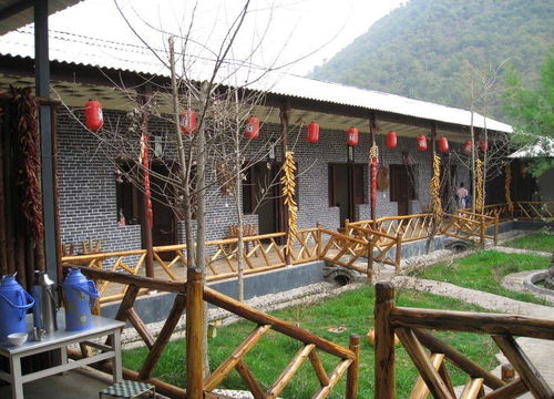 农家游乐园，农家游泳池