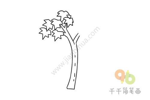 梧桐树简笔画秋天，梧桐树简笔画 简单