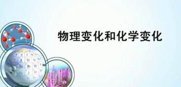 核反应属于物理变化还是化学变化 依据?
