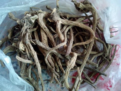 川断的功效与作用禁忌与副作用有哪些，川断的功效与作用及禁忌症的功效与作用