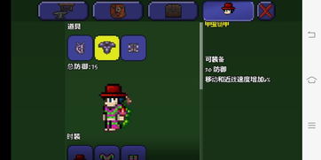 泰拉瑞亚甲虫套套装效果具体什么意思
