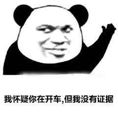 我怀疑你在开车但我没有证据是什么梗?