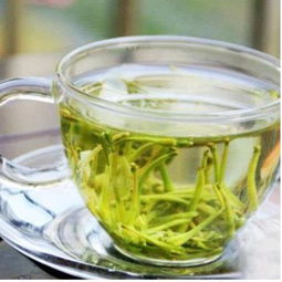 金银花茶的功效与作用