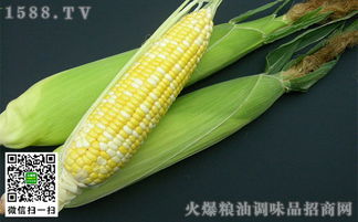 一根水果玉米的热量是多少