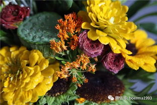 中国的国花是什么花?