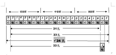 24孔口琴的音阶图是什么样的