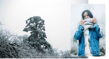 snow的过去式,形容词