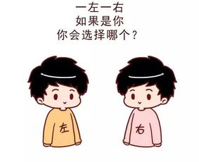 左先生右先生是什么意思什么梗